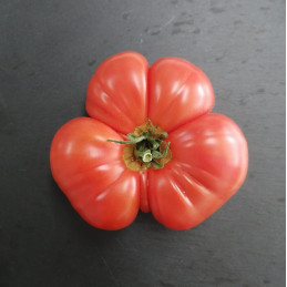 Feo Tomato 5 kg box Feo Tomato 5 kg box