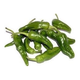 Gernika Pepper fresh per/kg