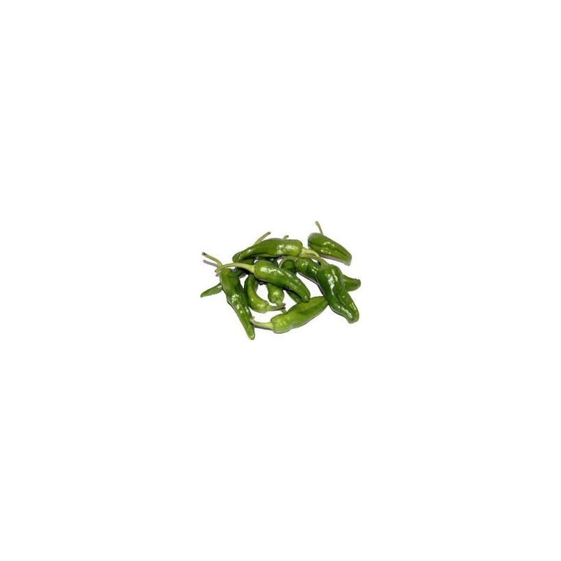 Gernika Pepper fresh per/kg Gernika Pepper fresh per/kg