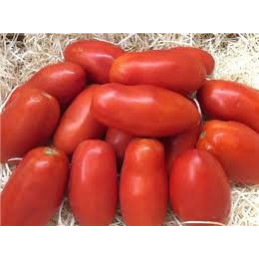 Pera Tomato per/kg