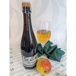1526 Brut Nature Sparkling Cider 75cl by Petritegi