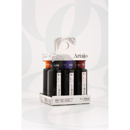 Artajo10 100ml bottle 6 varieties pack