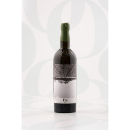 1HA Chardonnay White 75cl by Otazu