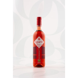 Egiarte Organic Rosé 75cl by Lezaun