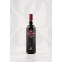 Egiarte Organic Red Crianza 75cl by Lezaun