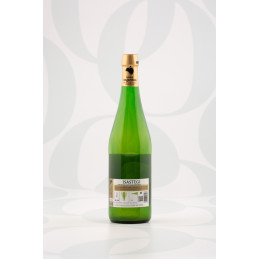 Premium Organic Natural Cider 75cl by Isastegi